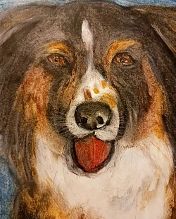One Nurses Dogs portrait