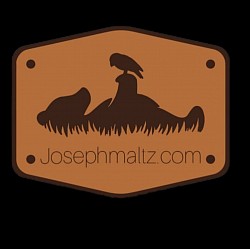 Bear and bird logo